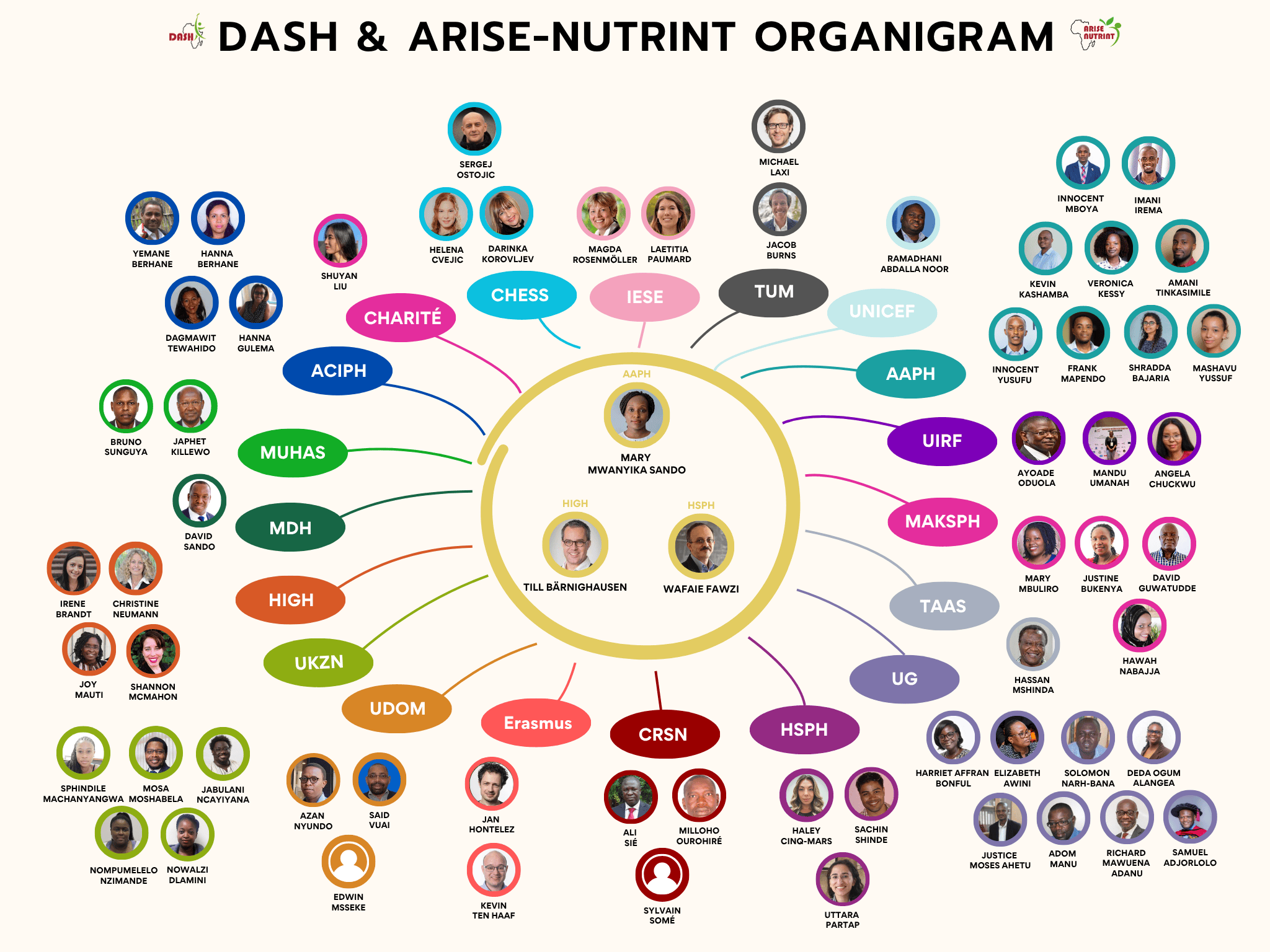 Organigram Website.png